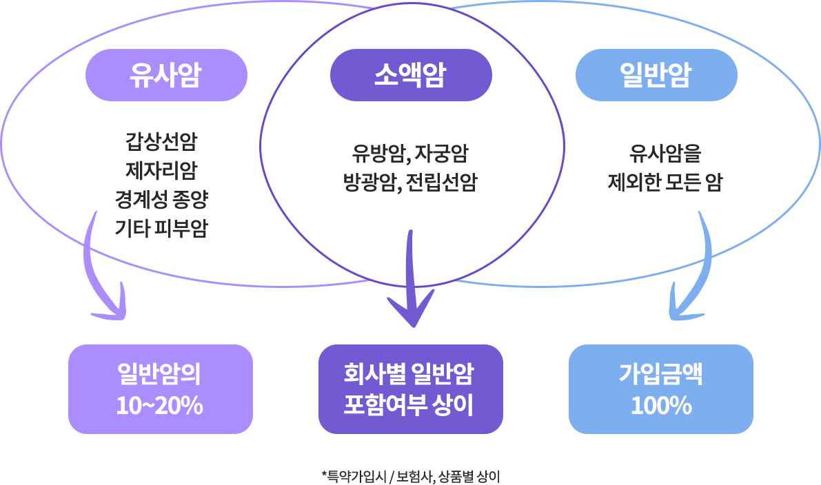 보험 유형별 설명